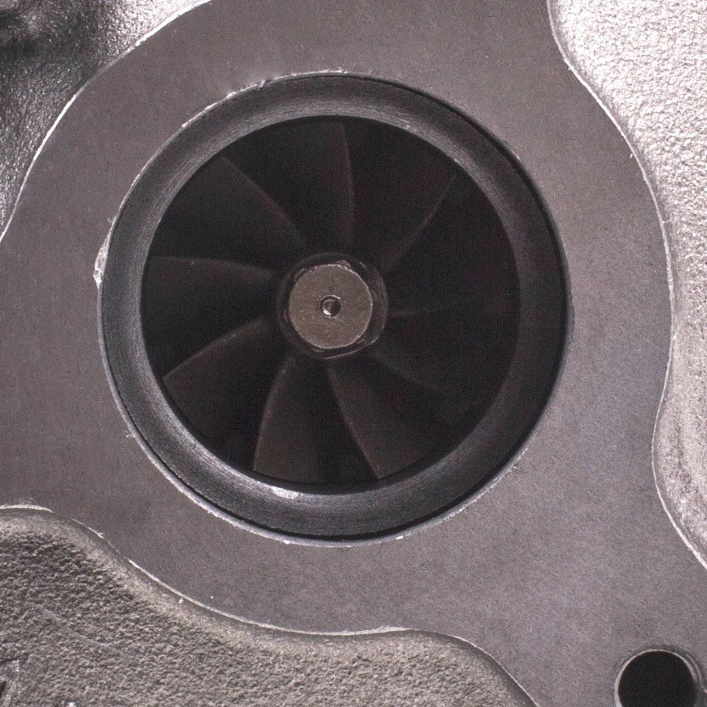 3002049990_4-1.jpg