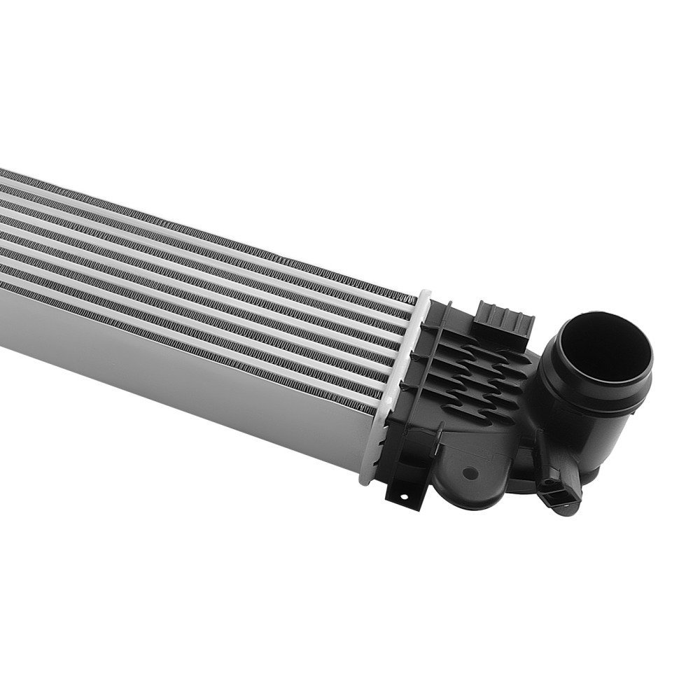 3002919445_6-1-1.jpg